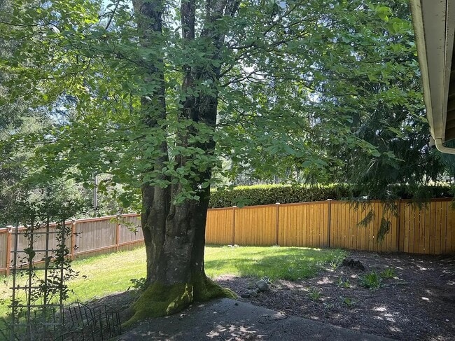 Photo - 3517 57th Ave NW