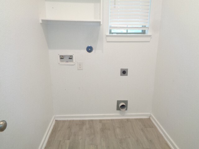 Photo - 27029 Sofia Forest Dr