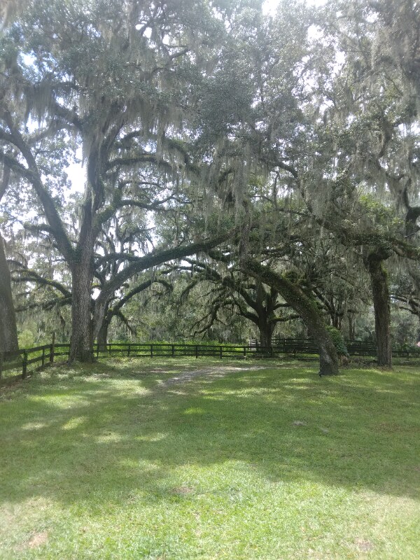 Photo - 8035 NW 120th St Unit Stables Apt 1