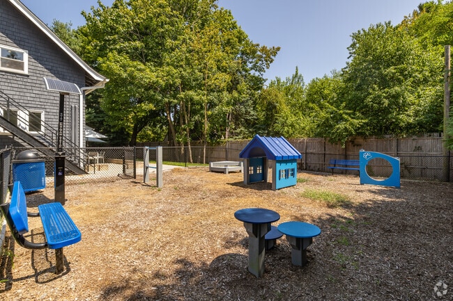 Dog Park