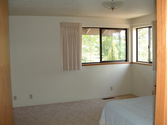 Photo - River beauty