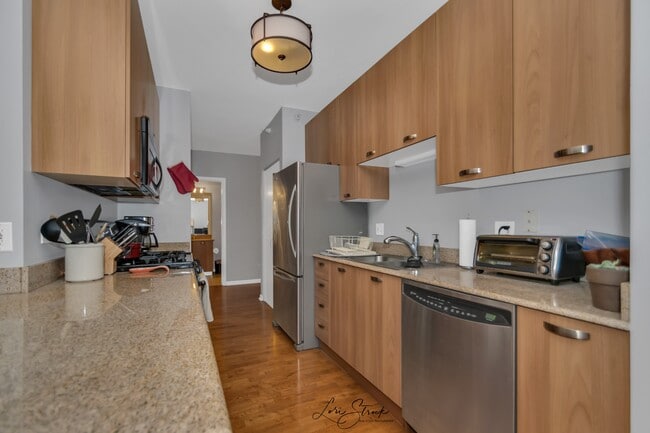 Granite countertops and gas stove, stainless steel appliances - 635 N Dearborn St Unit 1004