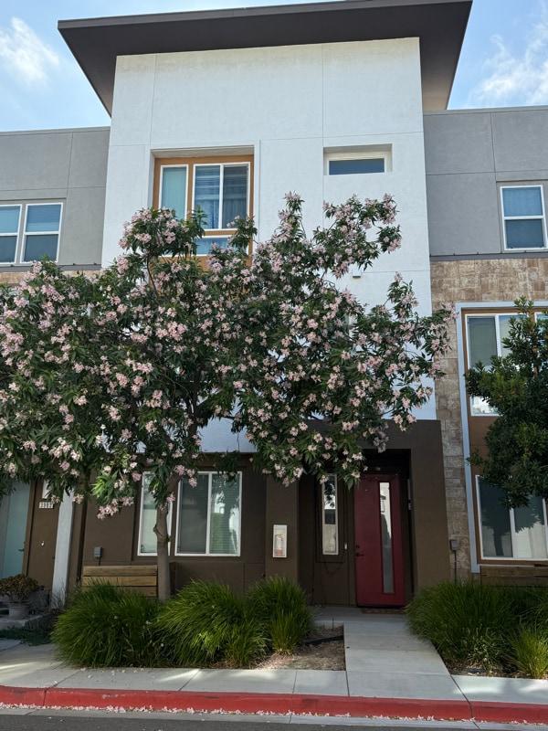 Photo - 3979 Meridian St Townhome