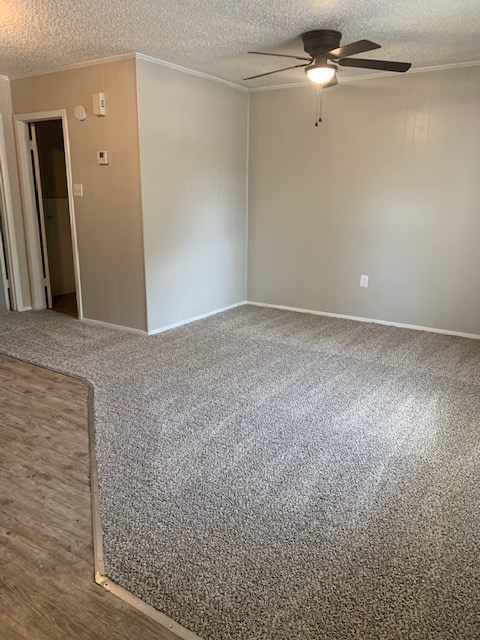 1 dormitorio grande