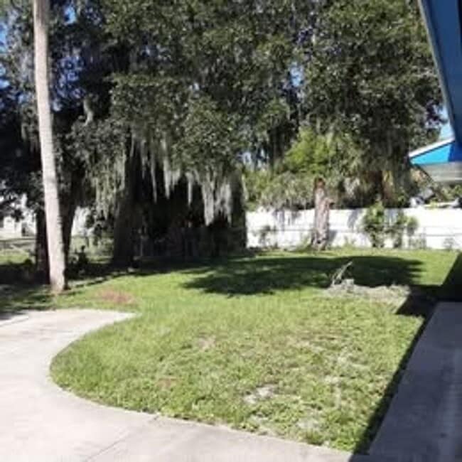 Photo - 313 Church St