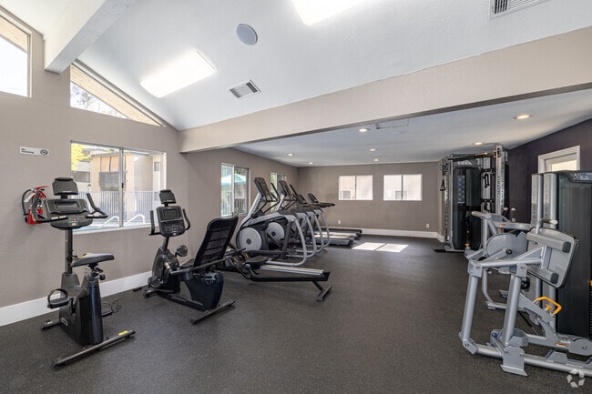 Gimnasio