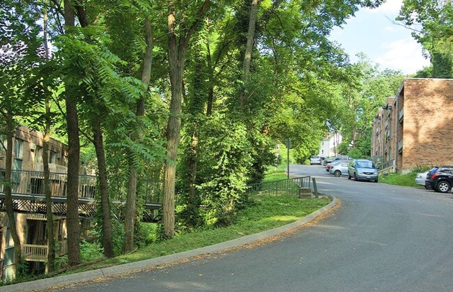Clifton Woods