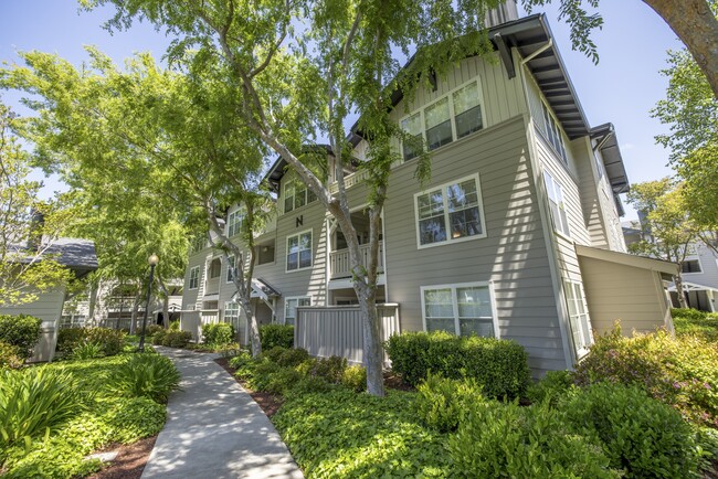 Building Photo - The Presidio Rental