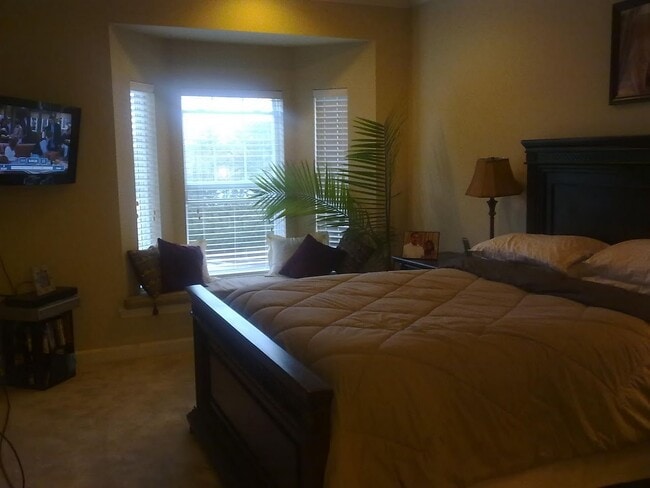 Photo - 2602 McKnight Crossing Ct