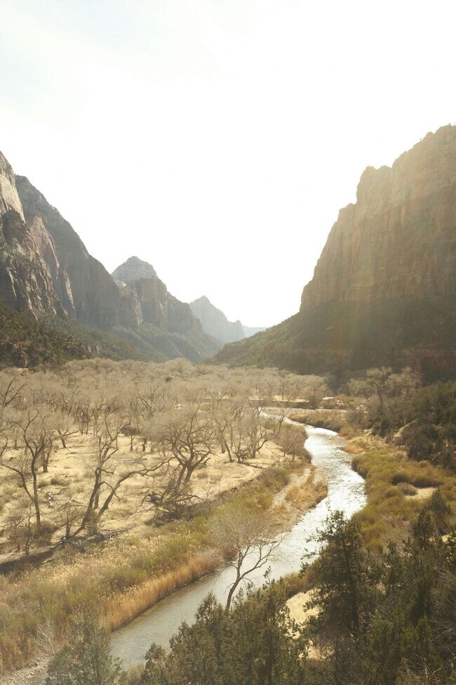 Photo - 736 W Rider Dr Unit ID1249898P