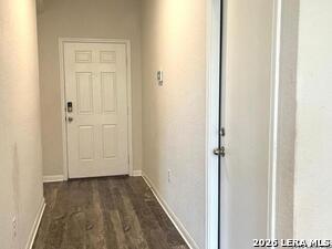 2118 Silver Maple