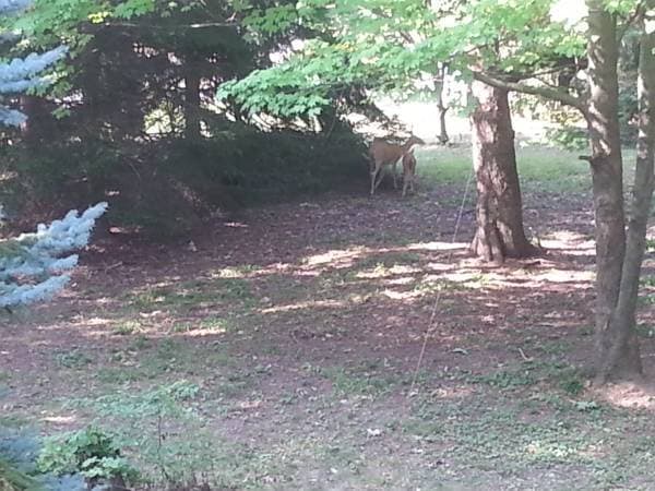Photo - 5211 Portage St NW Unit Down stairs