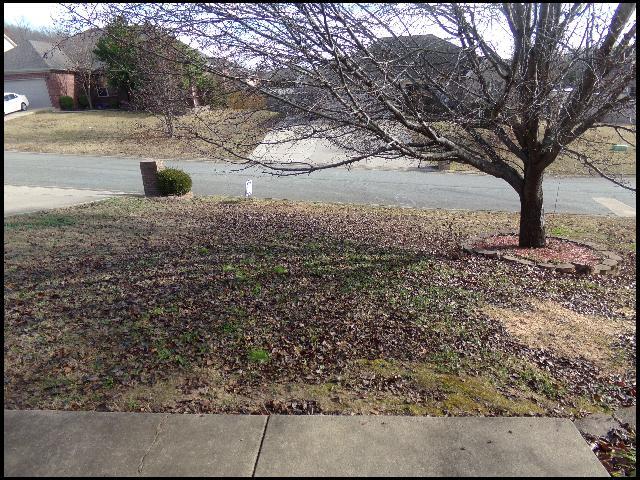 Photo - 12 Lauren Cove