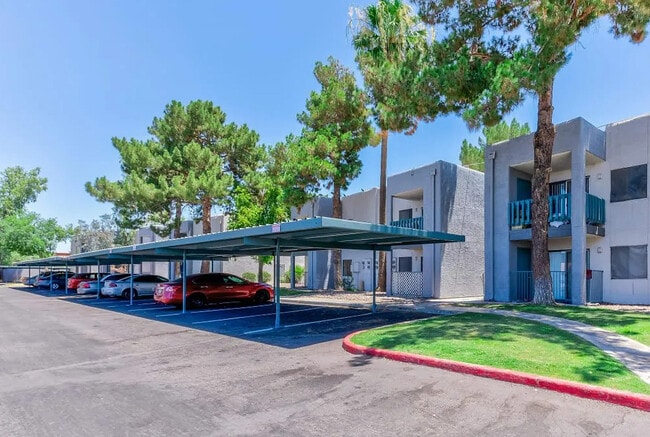 The Falls Apartments