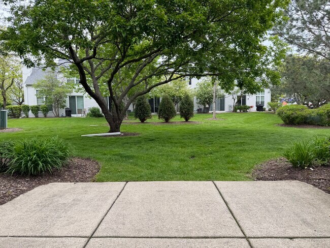 Courtyard - 103 Capella Ct