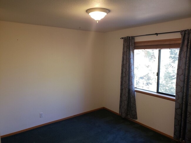 Photo - Move-In Ready 1-Bedroom Mountain Apartment with Private Driveway and Backyard