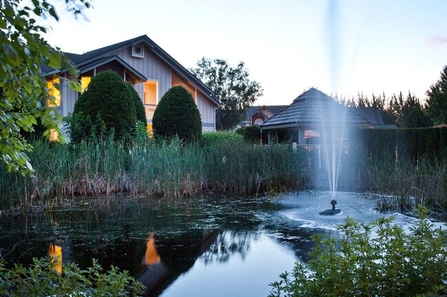 Stunning Water Features