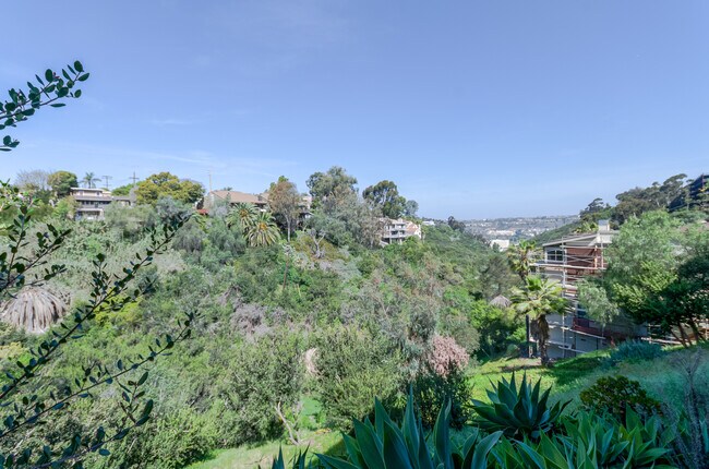 Canyon View