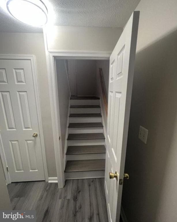 Photo - 3428 Brahms Dr