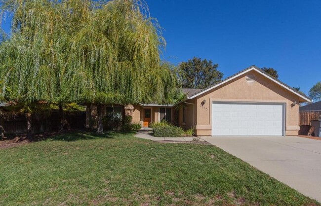 Beautiful South Redding Home - Beautiful South Redding Home