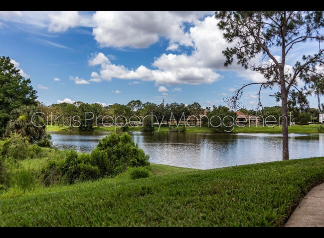 Photo - 2569 Grassy Point Dr Unit 213