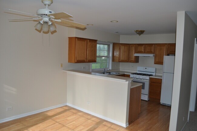 223 S Rush St Unit 2D