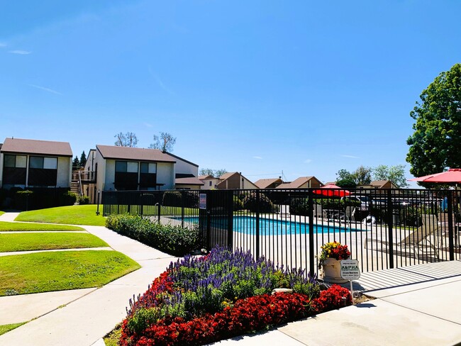 Cedarwood Apartments - Cedarwood Apartments