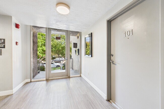 Photo - Willis Park South