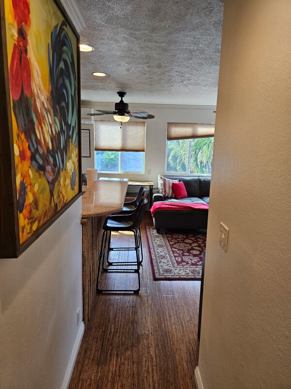 Photo - 293 Alaume St