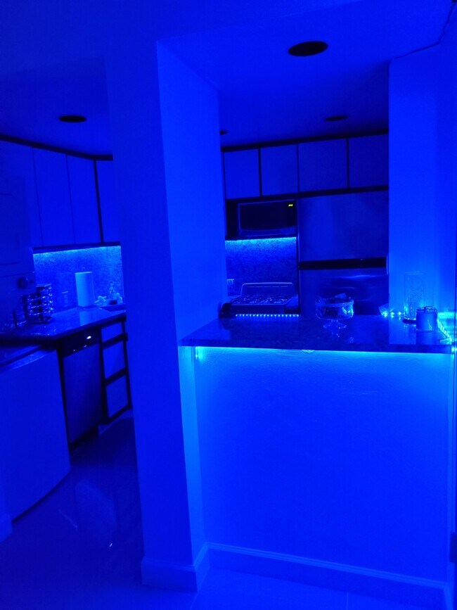 Photo - 2539 S Bayshore Dr Unit 214