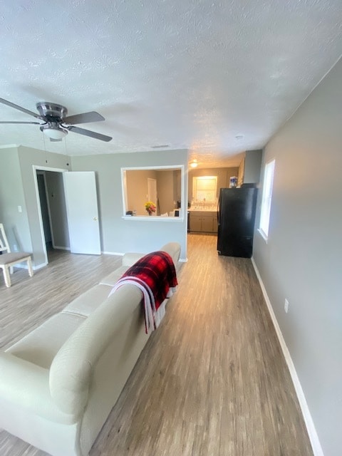 Photo - 163 Kim Chase Rd
