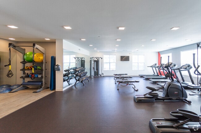 Gimnasio - The Verge