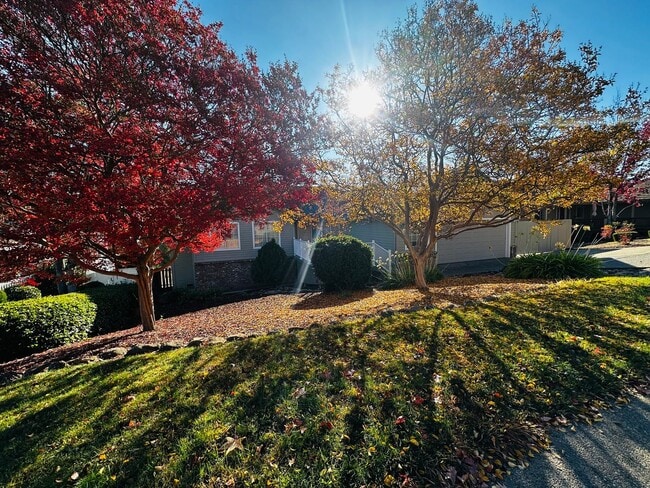 Building Photo - Beautiful Home