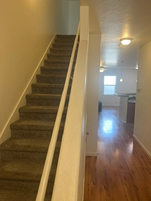 Photo - 613 Zenith Ln