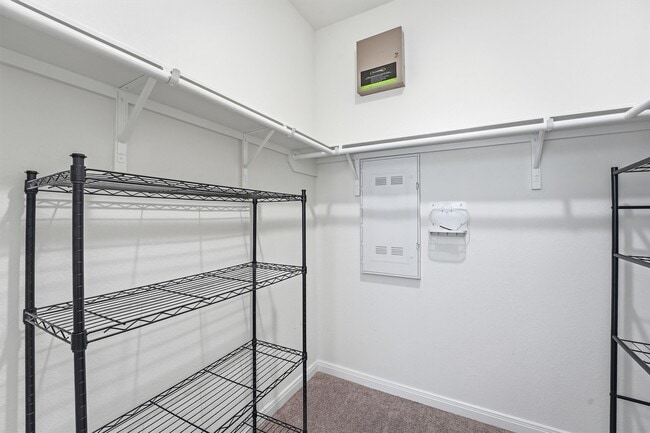 Building Photo - 4915 Gazelle Leap Ln