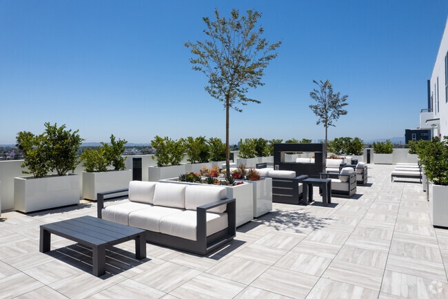 Rooftop Lounge