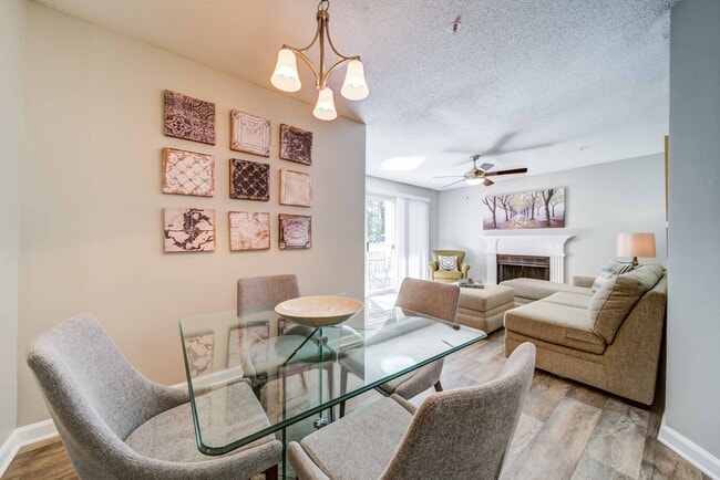 Photo - Autumn Woods