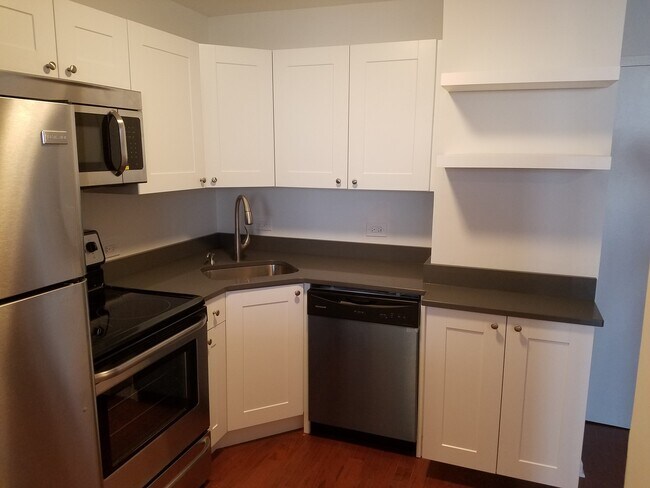 Photo - 1455 N Sandburg Terrace Unidad 2007