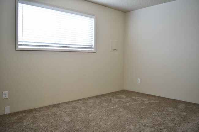 Photo - Fall Quarters