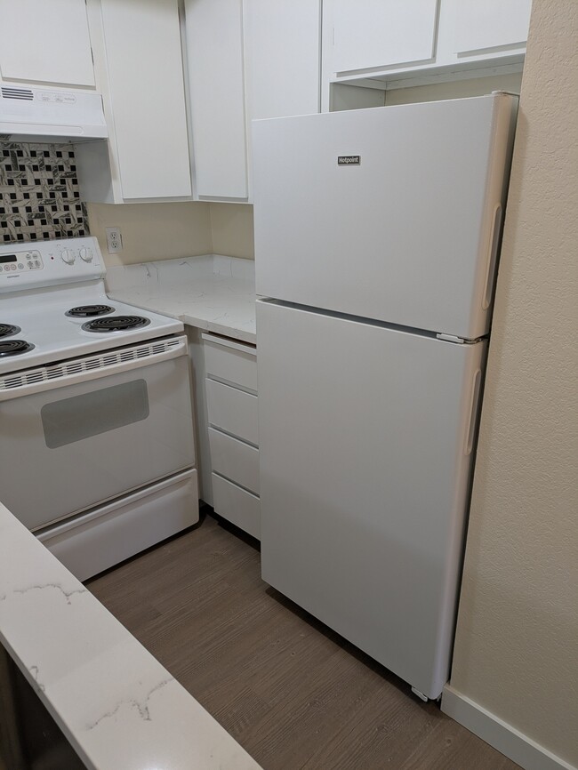 Photo - 29 Etruria St