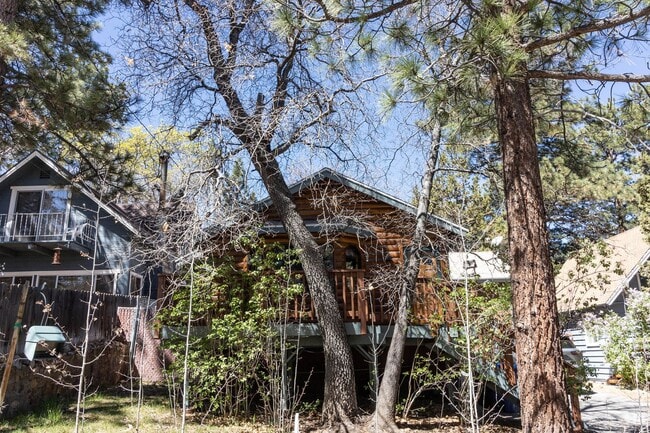 Photo - Sugarloaf Cutie