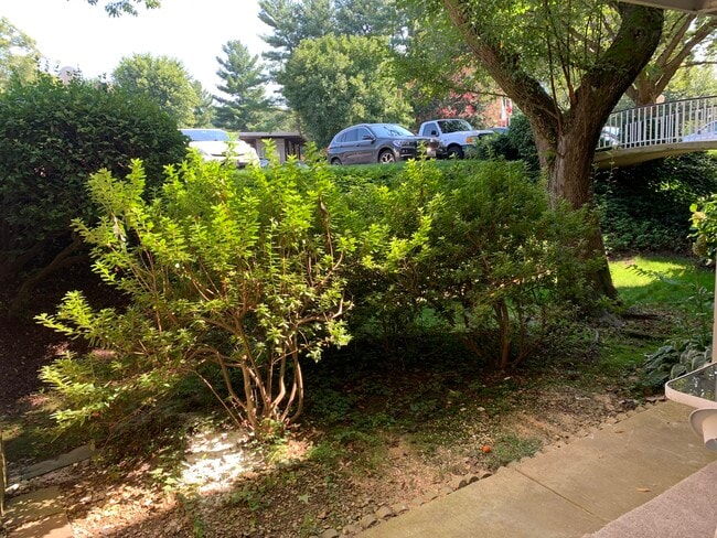 Photo - 7509 Spring Lake Dr Unidad B1