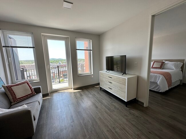 living room in the one bedroom apartment