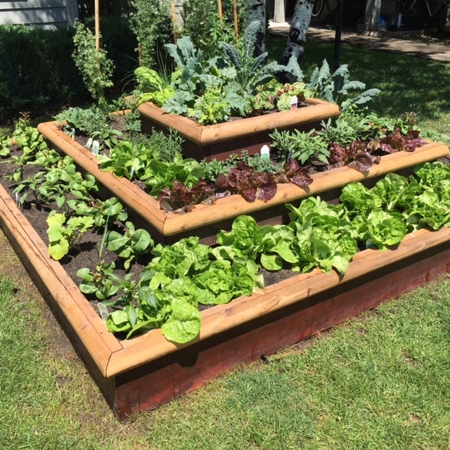 Photo - Aspen Meadows Apartments