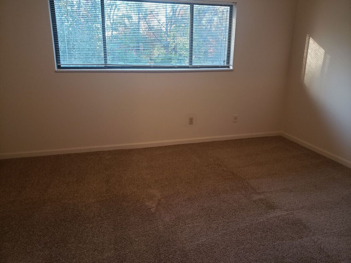 Charming 1BR Apartment – Minutes from Nash... - Charming 1BR Apartment – Minutes from Nash... Unidad 229C