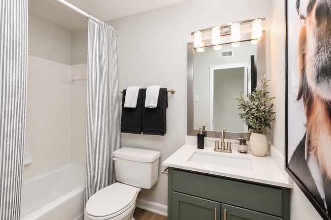 Modern apartment bathrooms with clean, stylish finishes.