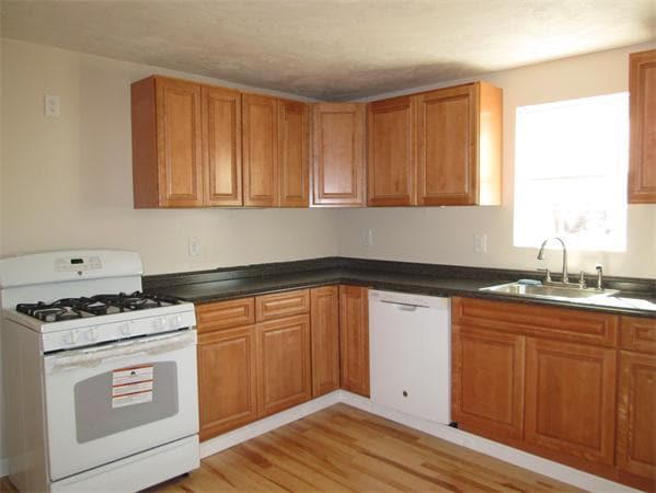 Photo - 43 Marion St