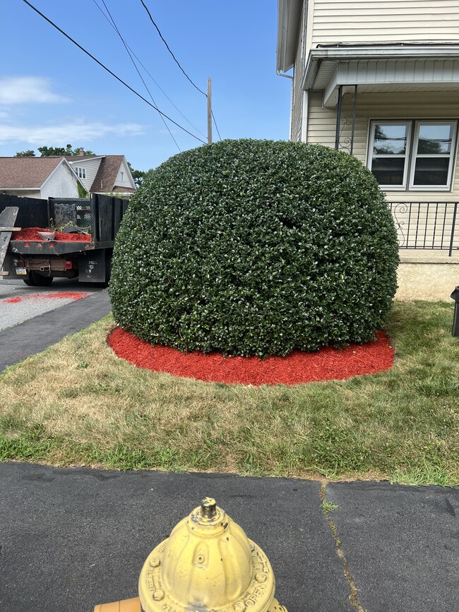 Photo - 132 S Apple St