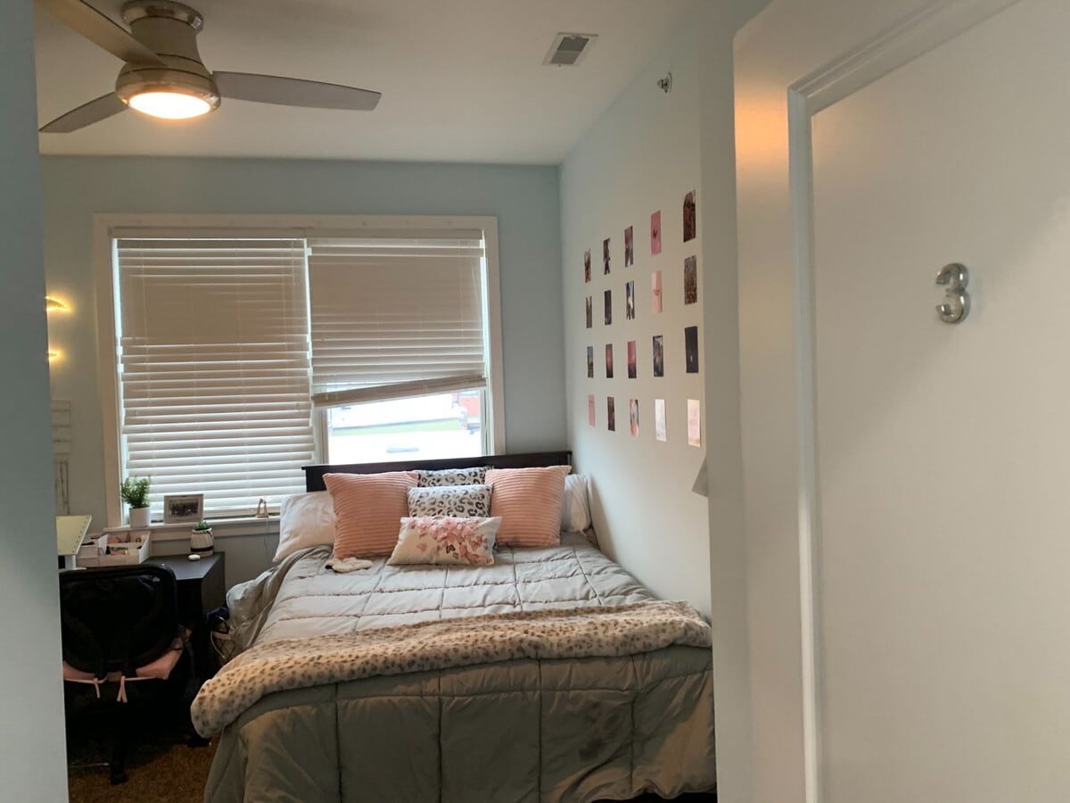 1537-41 Seybert - 1537-41 Seybert