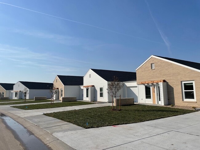 Photo - Vintage Rows